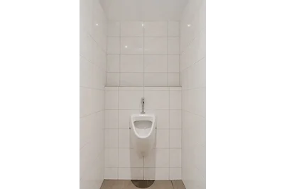 De Knobbelzwaan