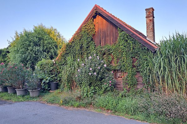 Ferienhaus Güssing