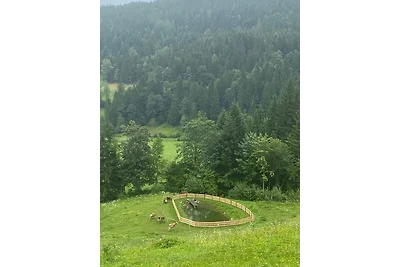 Urlaub beim Riegger