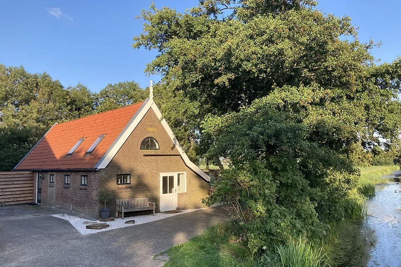 Grüner Rückzugsort mit üppigem Blattwerk und Zweigen.