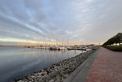 Ferienhaus „Zeeland Schelp“