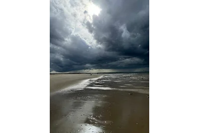 Ferienhaus „Zeeland Schelp“