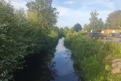 De Muggelstuuv - Klein aber fein