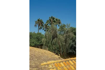 Finca Feliciano