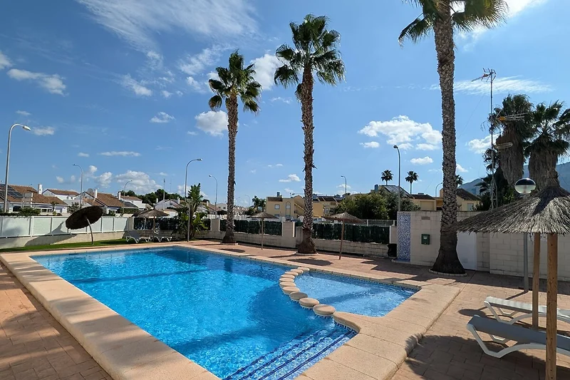 Entspannen Sie am Pool unter Palmen