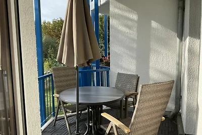 Kleine Möwe