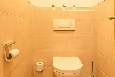 Tevini Alpine Apartments - Kitzblick, mountai...