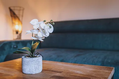 Premium Apartments Areit - Penthouse, Sauna