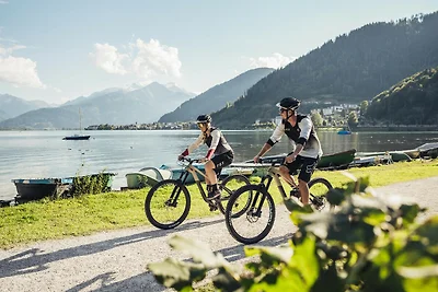 Tevini Alpine Apartments - Glocknerblick,...