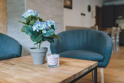 Premium Apartments Areit - Balcony, sauna