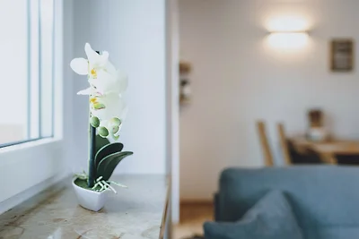 Spa Chalet - Garden Lodge, Garten & Wellness