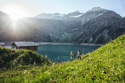 Tauern Relax Lodges - Penthouse