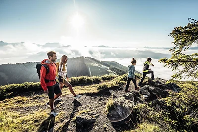 Tevini Alpine Apartments - Schmittenblick,...