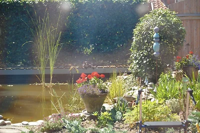 Seeschwalbe