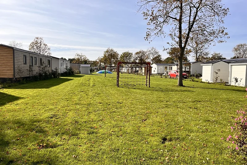 Gepflegte Außenanlagen mit viel Platz zum Toben