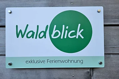 Naturverliebt am Diemelsee - Waldblick
