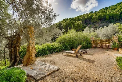 Berghut in de buurt van de zee