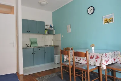 Appartamento Vacanza con famiglia Novalja