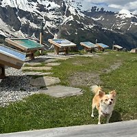 Sig.ra A. Wallmichrath