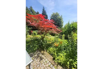 Ferienhaus Elbblick Königstein