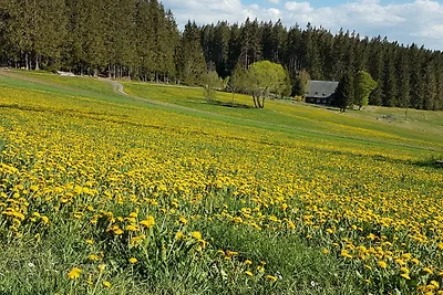 Ferienwohnung Lauble