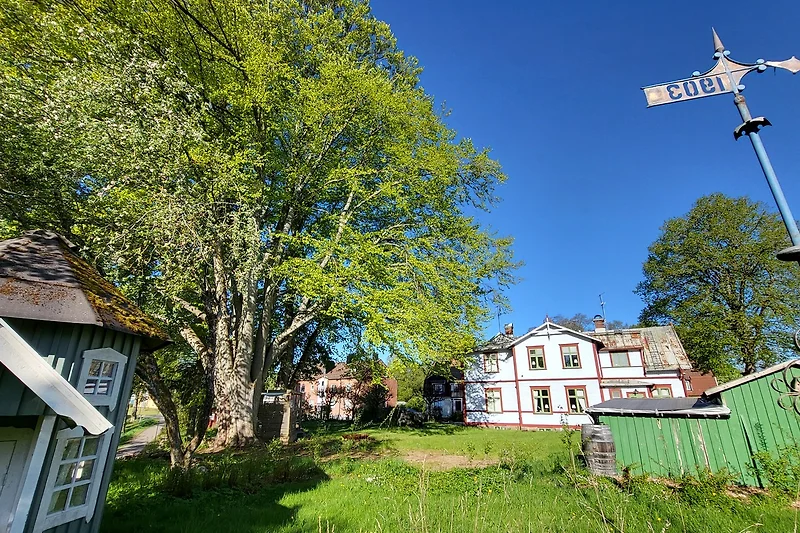 Südseite am Fluss mit Garten und Terrasse linkerhand im Schatten einer mehr als 100 Jahre alten Buche.
