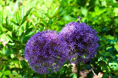 Ferienwohung Am Sonnenberg