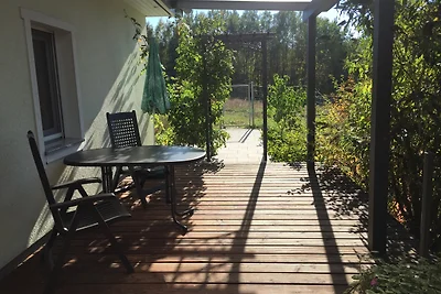 Ferienhaus unter den Birken