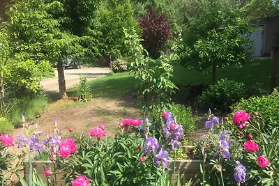 Ferienhaus unter den Birken