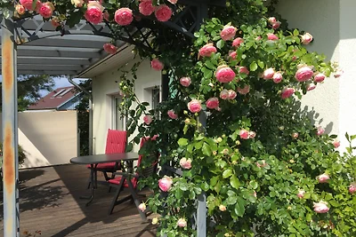 Ferienhaus unter den Birken