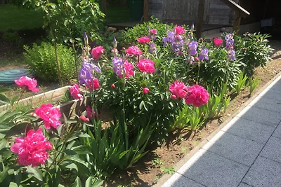 Ferienhaus unter den Birken