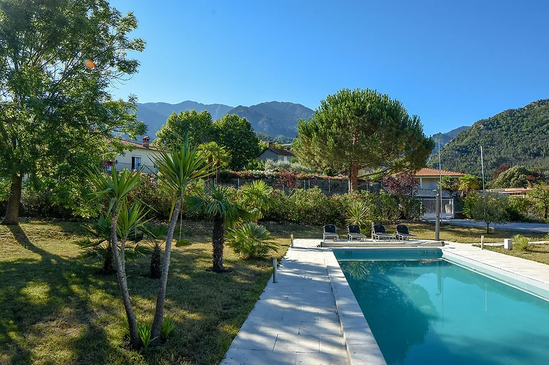 Pool mit Alpenblick, umgeben von tropischen Bergen und Palmen.