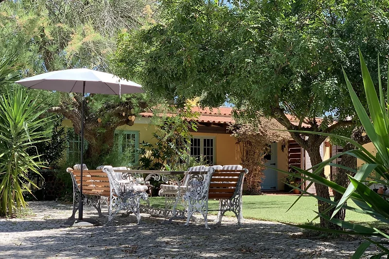 Grüner Innenhof mit Sitzbank, Pflanzen, Esstisch und Palmen.