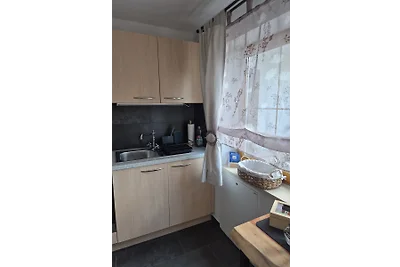 Auszeit an der Bergquelle