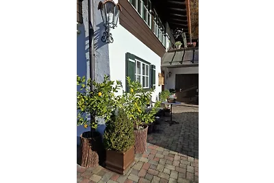 Auszeit an der Bergquelle