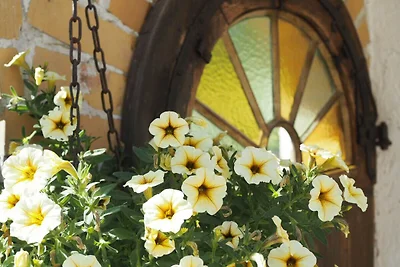 Ferienhaus auf dem Ferienhof Haslinger