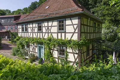 Ferienwohnung Parkblick