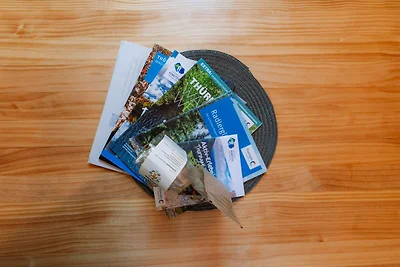 Tinyhouse Wald-Woody