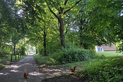 Heuvellodge Robin | Klimaanlage