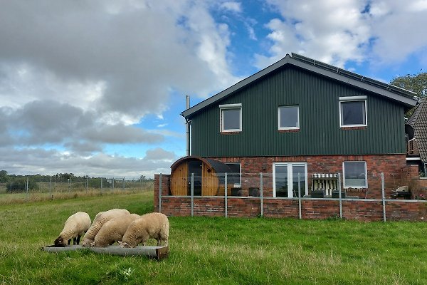 Ferienhaus Niebüll