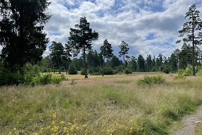 Härberget