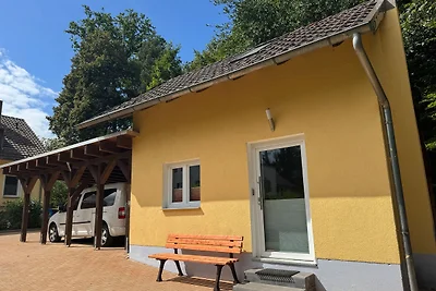 kleiner Siebenschläfer