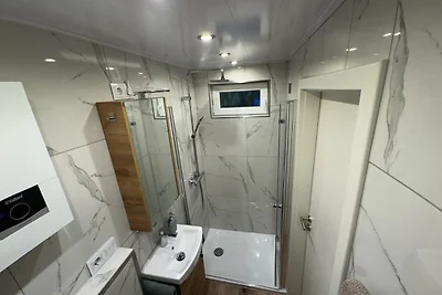 kleiner Siebenschläfer