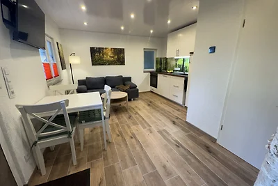 kleiner Siebenschläfer