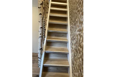 kleiner Siebenschläfer