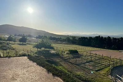 World of Horses Flats Kisangani