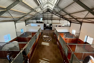 World of Horses Flats Kisangani