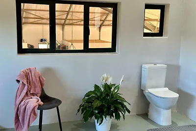 World of Horses Flats Kisangani