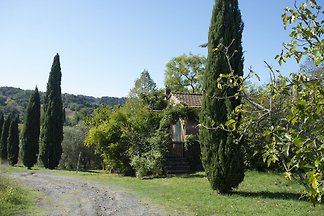 Casa vacanze Montescudaio