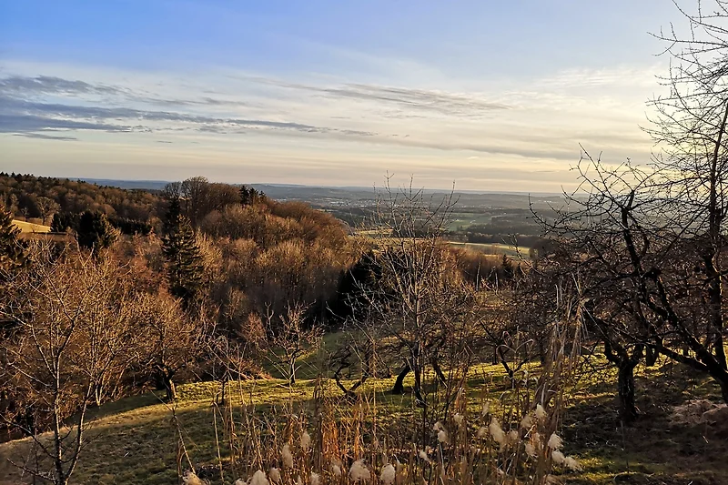 Weite Wiesen, sanfte Hügel und Sonnenlicht bis zum Horizont.